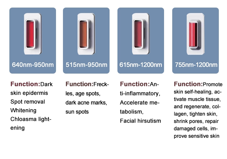 Portable DPL machine Portable DPL machine